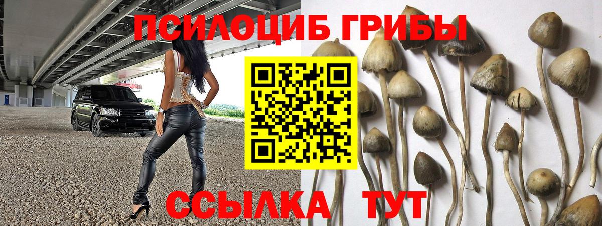 Псилоцибиновые грибы MAGIC MUSHROOMS Звенигород