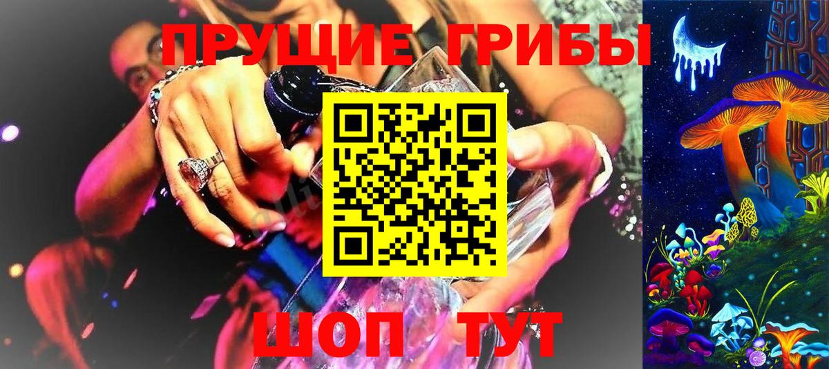 Галлюциногенные грибы мухоморы  даркнет сайт  Звенигород  Вход с VPN 